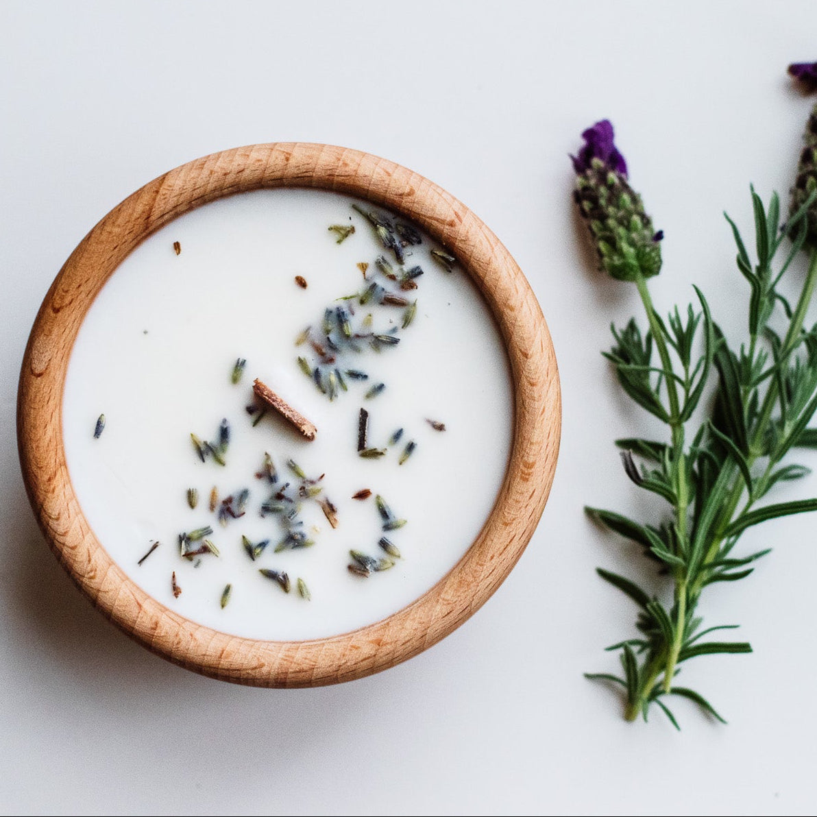 Mindful Light - Peaceful Lavender 💜