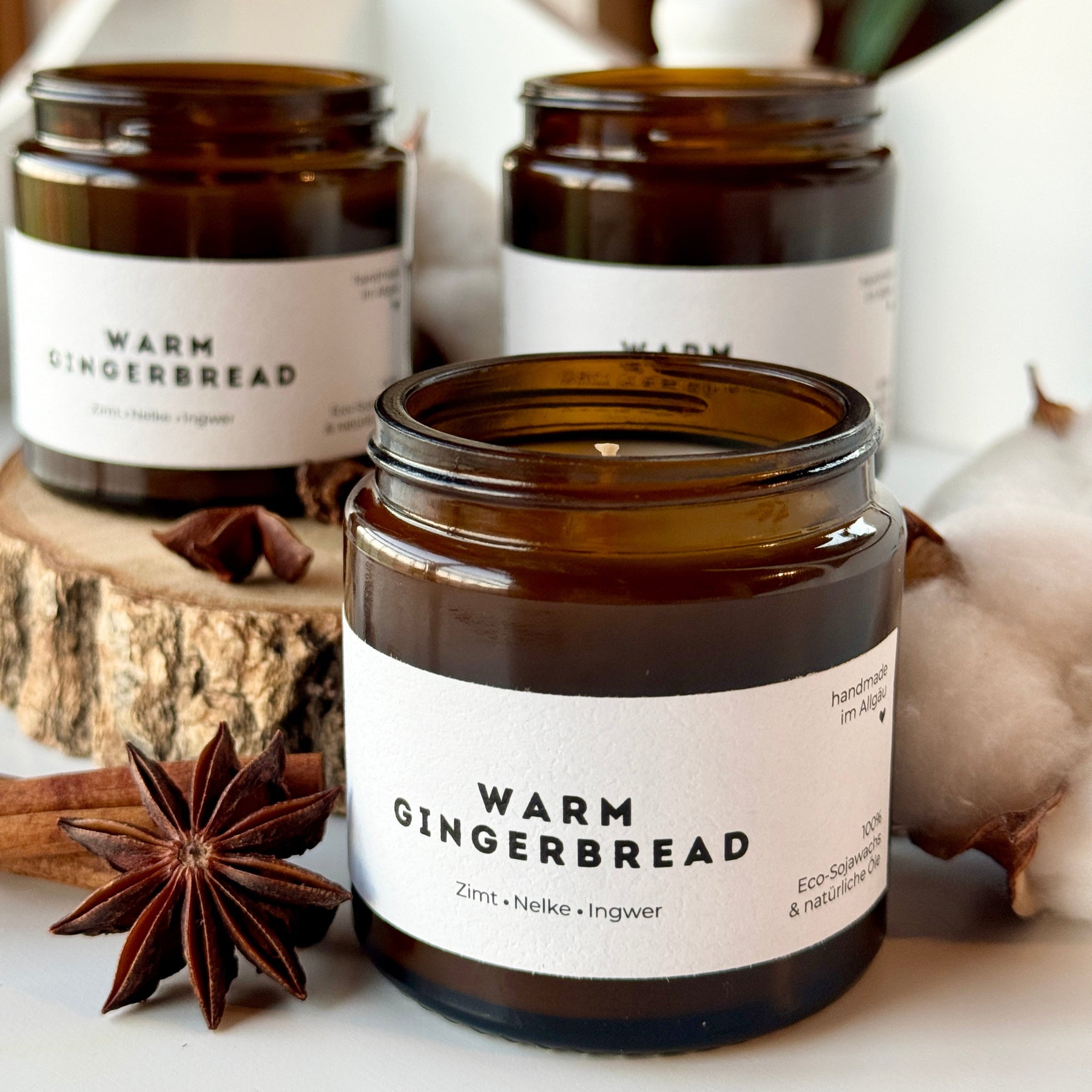 Warm Gingerbread