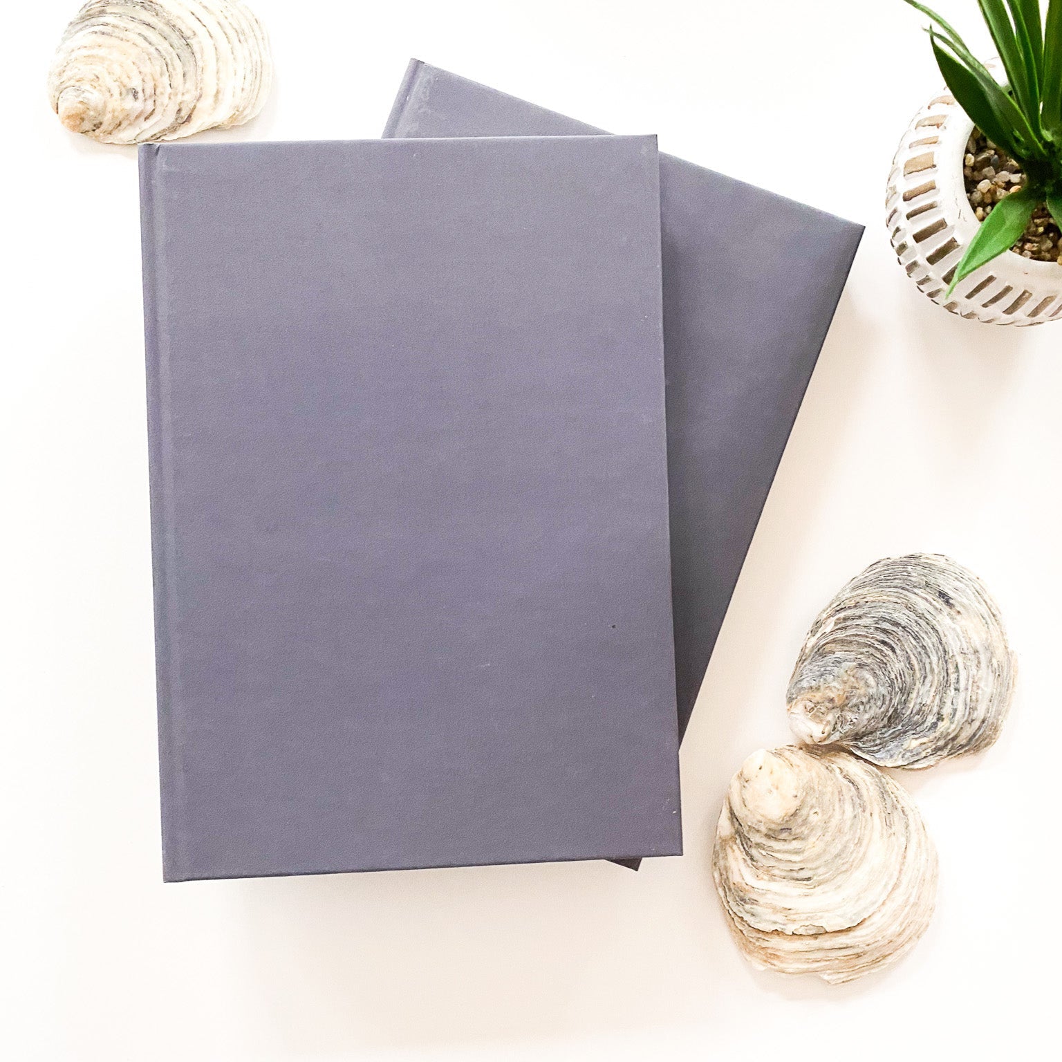 Bullet Journal im Handlettering Design